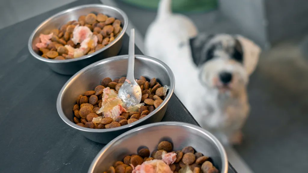 ImsBrand's tweet photo. The #petfood sector is the fastest growing one in the pet care industry, with a reported CAGR of 9.08% over the past four years. But we need to reduce environmental the impact of pet ownership https://t.co/visPYR8nYI

#brandims #packagingsolutions #packagingdesign #b2b https://t.co/RgCCMPNf6y