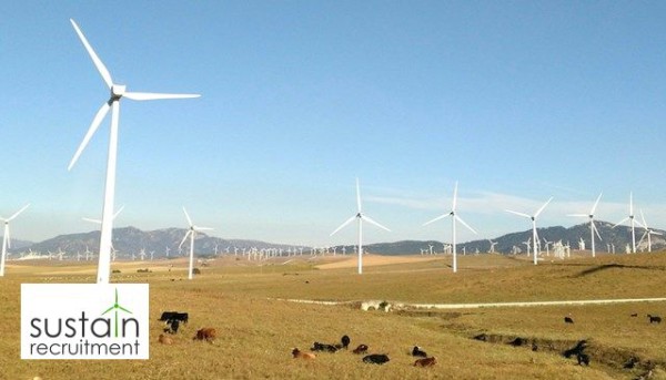 sustain_recruit's tweet image. Newbie unveils 2.7GW European wind and solar pipeline - reNEWS #Renewables #RenewableEnergy #PipelineTransport tinyurl.com/ygd3a7l4