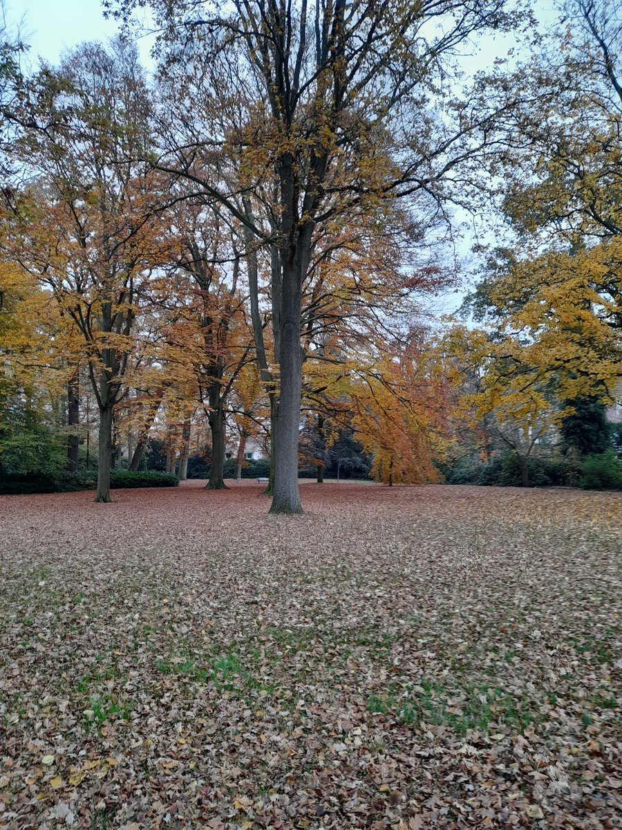 De laatste blaadjes vallen #park #Nunspeet