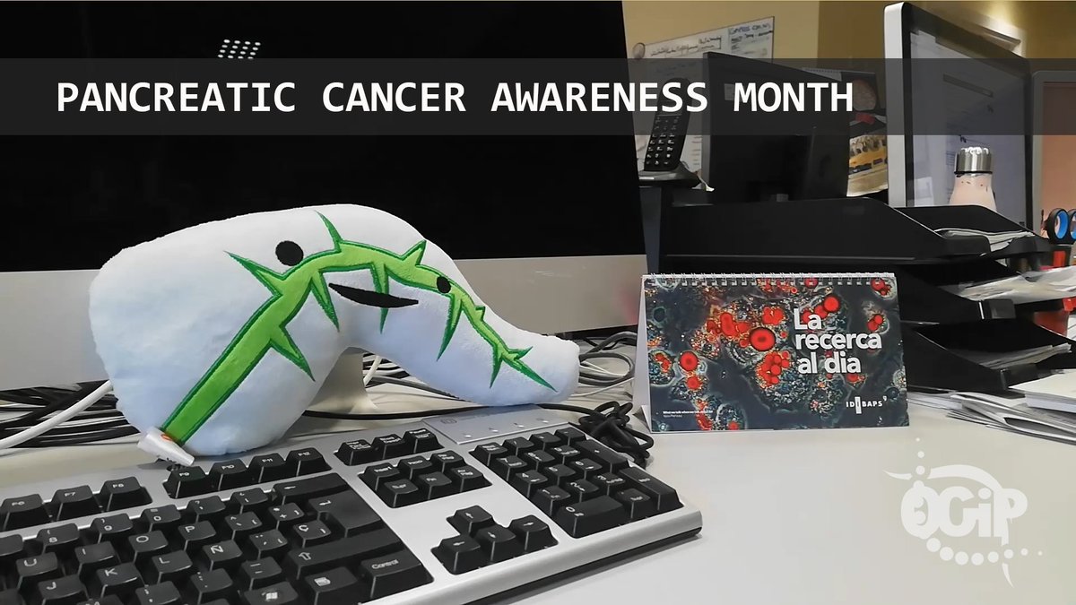 Today is #WorldPancreaticCancerDay. In November, our researchers made some videos presenting their strategies to find new biomarkers and treatments to fight #pancreaticcancer. In case you missed any of them, here's a recap!
<a href="/EurPancClub/">EPC-Europ Pancr Club</a> <a href="/ACanPan/">ACanPan</a>
