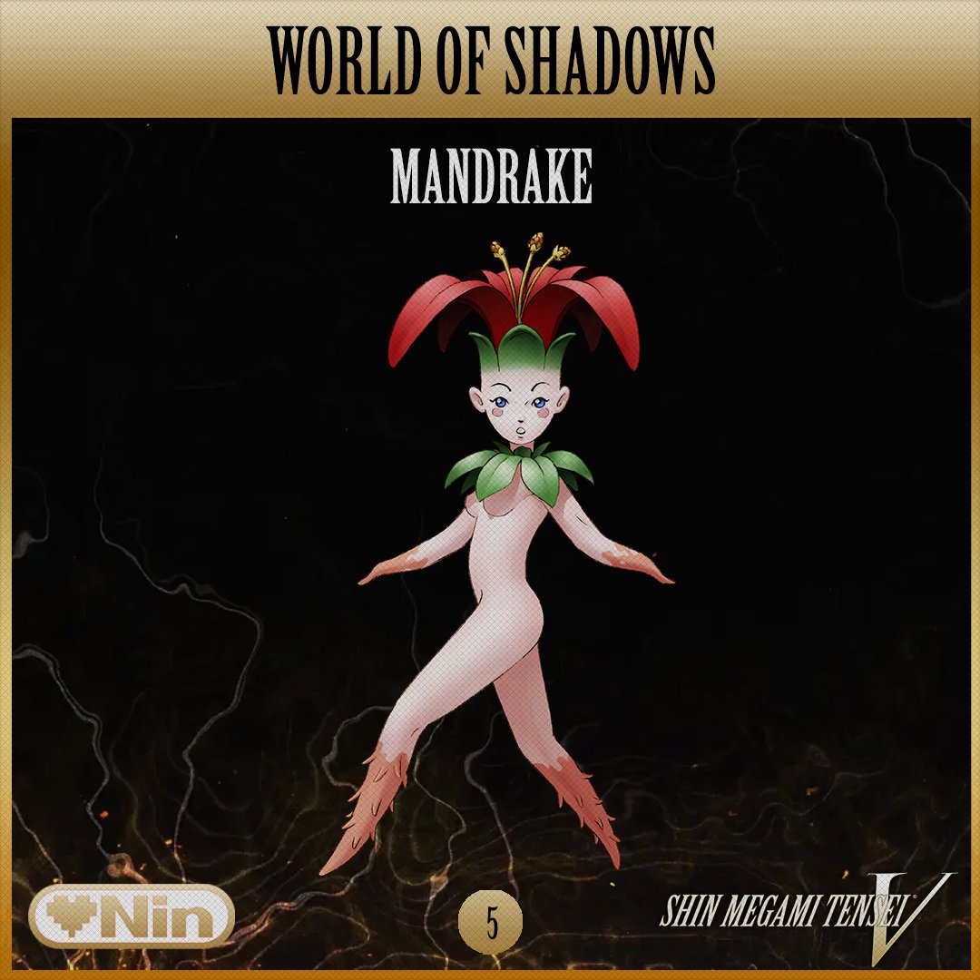 TheLOVENIN's tweet photo. World of Shadows ep. 5
Podcast สารานุกรมจากโลกมืดประจำวัน วันนี้ขอแนะนำ
Yoma - Mandrake
ส่วนเรื่องเล่าและตำนานในวันนี้จะเป็นเช่นไร เชิญเลือกติดตามได้เลยครับ
Podcast
https://t.co/bTgbuUP6oF
บทความ
https://t.co/faq7pkYtGt
#WorldOfShadows #SMTV
#LOVENINPODCAST https://t.co/ItkIXTz6yt