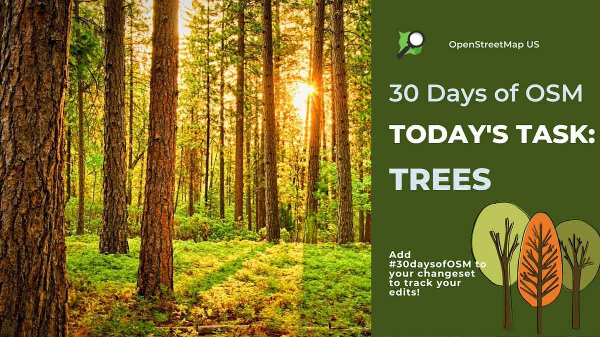 OpenStreetMapUS's tweet image. Today we&apos;re mapping trees! Can you map all the trees in your neighborhood? Place a point at the center of the tree and tag it with natural=tree. Don&apos;t forget to add #30daysofOSM to your changeset to track your edits. More info: buff.ly/3ozlsx4