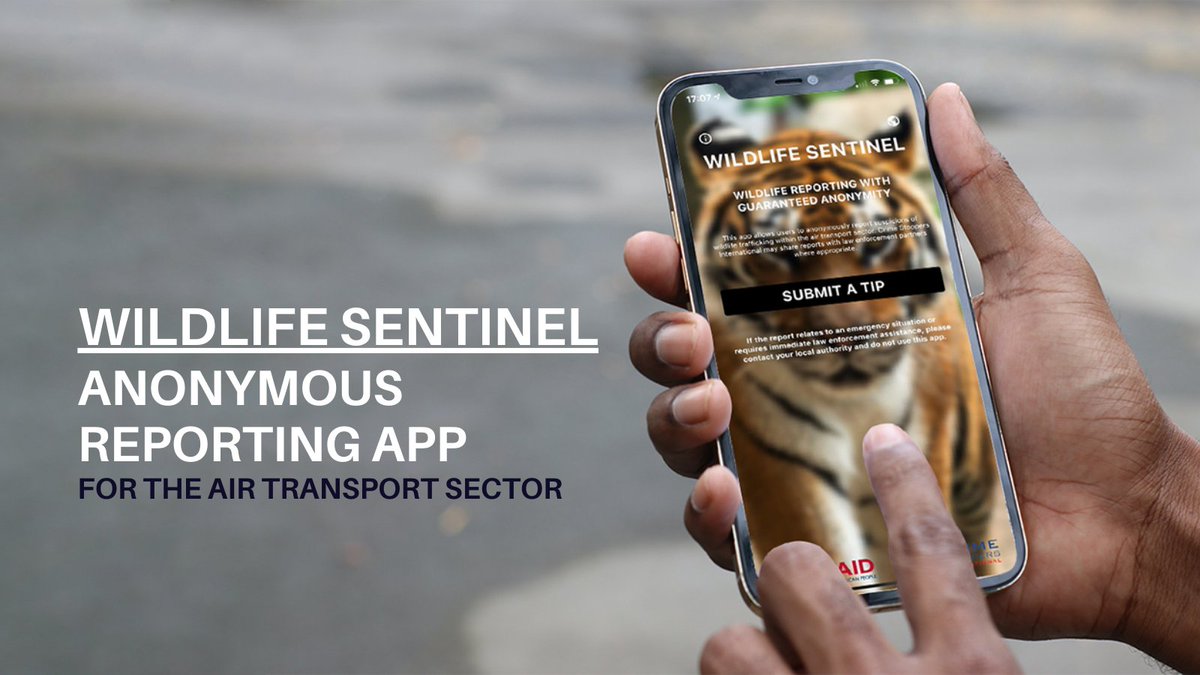 ROUTES Partnership tweet media