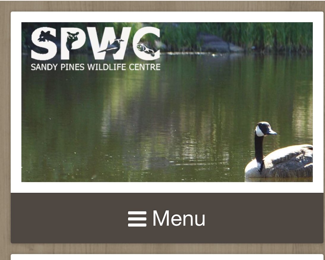 The learning continues on-line connecting with our #tvdsb Ms. Fischer’s gr.1/2 and <a href="/swpc/">Patrick</a> Sandy Pine Wilde Centre. #hibernation #migration #adaptation