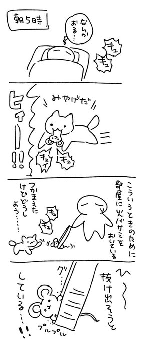 日記です マヨィちゃんみたいな悲鳴でた。結局マッマが処分してくれた。途中落っことして逃げられそうになるなど波乱があったのは割愛します。 