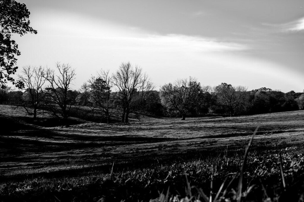 PhotosSikes's tweet photo. Shadows In The Valle
#raw_bnw #raw_landscape #raw_community #bnwfineartphotography https://t.co/1DrMzLjH6L https://t.co/Tx7JDqH0eJ