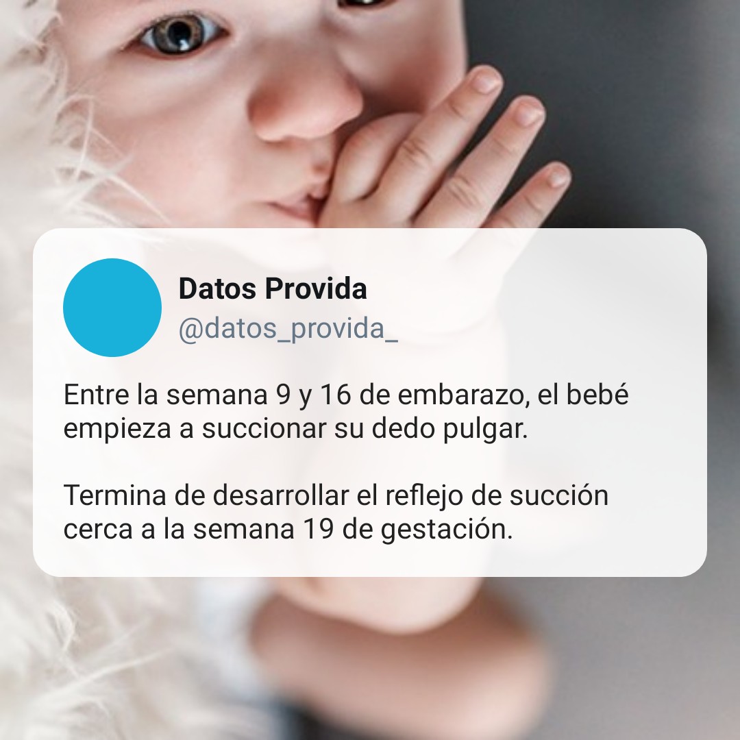 DatosProvida's tweet photo. #AbortoEs sacrificio humano. https://t.co/JRudcQMVz4
