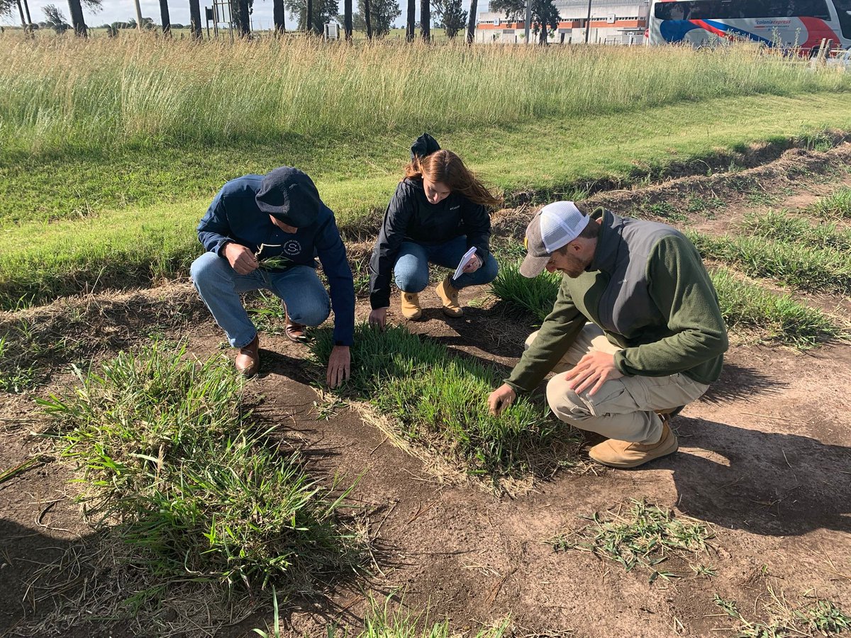 No hay mejor sinergia para que surjan buenas innovaciones y tecnologías de vanguardia, que este tipo de reuniones en nuestro campo experimental con nuestros técnicos, socios comerciales, asesores y productores! Qué sigan los encuentros y discusiones de valor