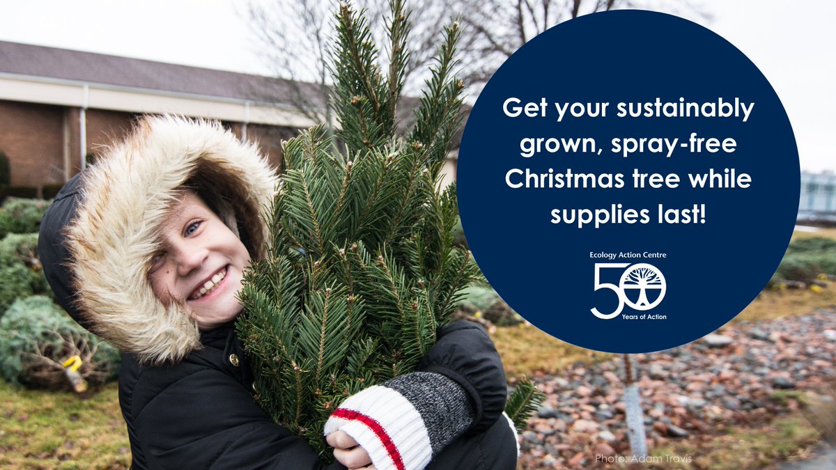 EcologyAction's tweet photo. EAC's sustainably grown, spray-free Christmas tree fundraiser is back! Supplies are limited so make sure to order yours while you still can!

Go to https://t.co/LwXFSHC19P today and get your before they run out! https://t.co/4Cwwa8Dkyt