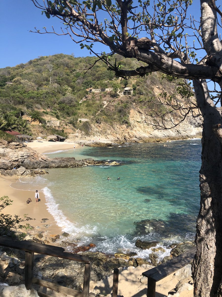 BatteryBayEU's tweet photo. For anyone wondering  why I haven’t been posting in a while: After graduating, I’m enjoying a month off in Mexico to… recharge. 🌴 https://t.co/WJQYTbdKMT