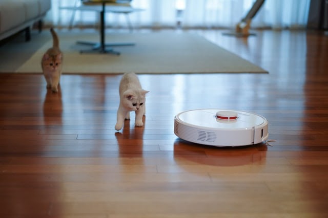 HomeZada's tweet photo. Considering a robot vacuum for your home?ย
Here are some important things to know first before purchasing it. https://t.co/BIRstjFRrF
#robotvacuum #homecleaner #zenofzada https://t.co/DBh3s03IqK