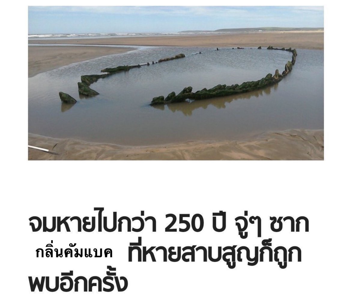 จซชˀ₊˚✿🪼𓈒 tweet media