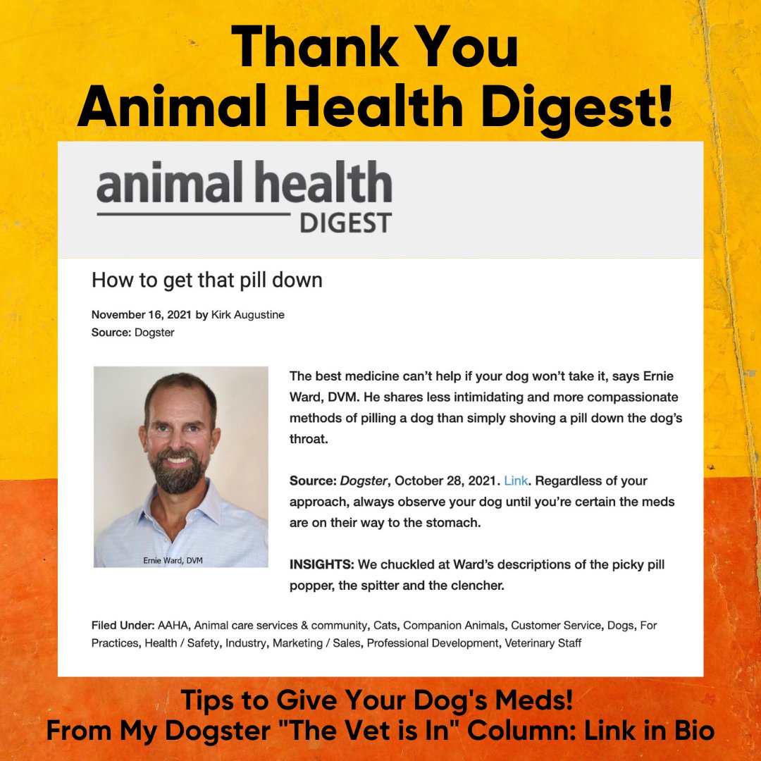 "We chuckled at Ward’s descriptions of the picky pill popper, the spitter and the clencher."

"He shares less intimidating and more compassionate methods of pilling a dog than simply shoving a pill down the dog’s throat." 

Link dogster.com/dog.../how-to-…

#veterinarymedicine #dogs
