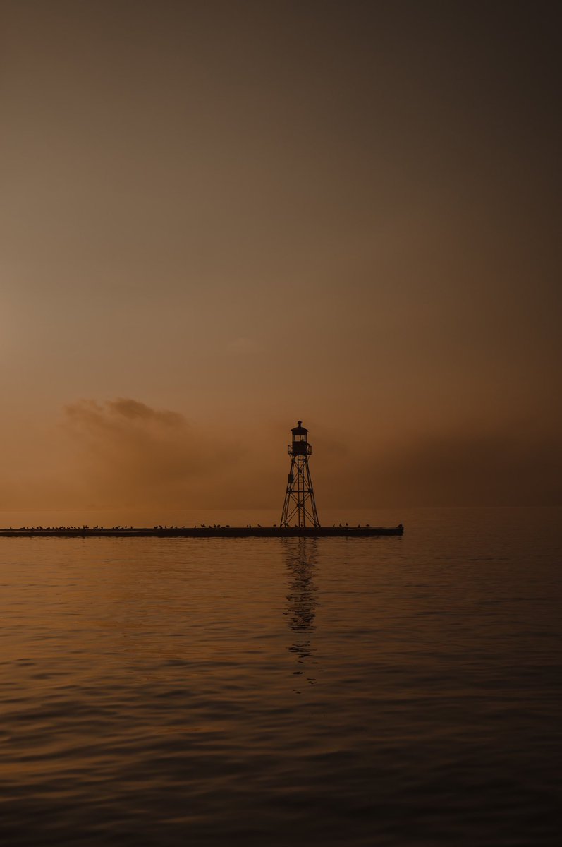 cammooreraw's tweet photo. My genesis piece on @withFND  “Pier Pressure” is now LJVE!!! 

I can’t believe the moment that I’m releasing this one into the world has come🖤 

This is a special one to me. https://t.co/9pN73anGly