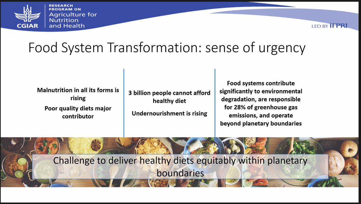 Inge Brouwer up now on the importance Food Systems - how they work, where they're broken, and what we can do to fix it 🌽➡️🍽️