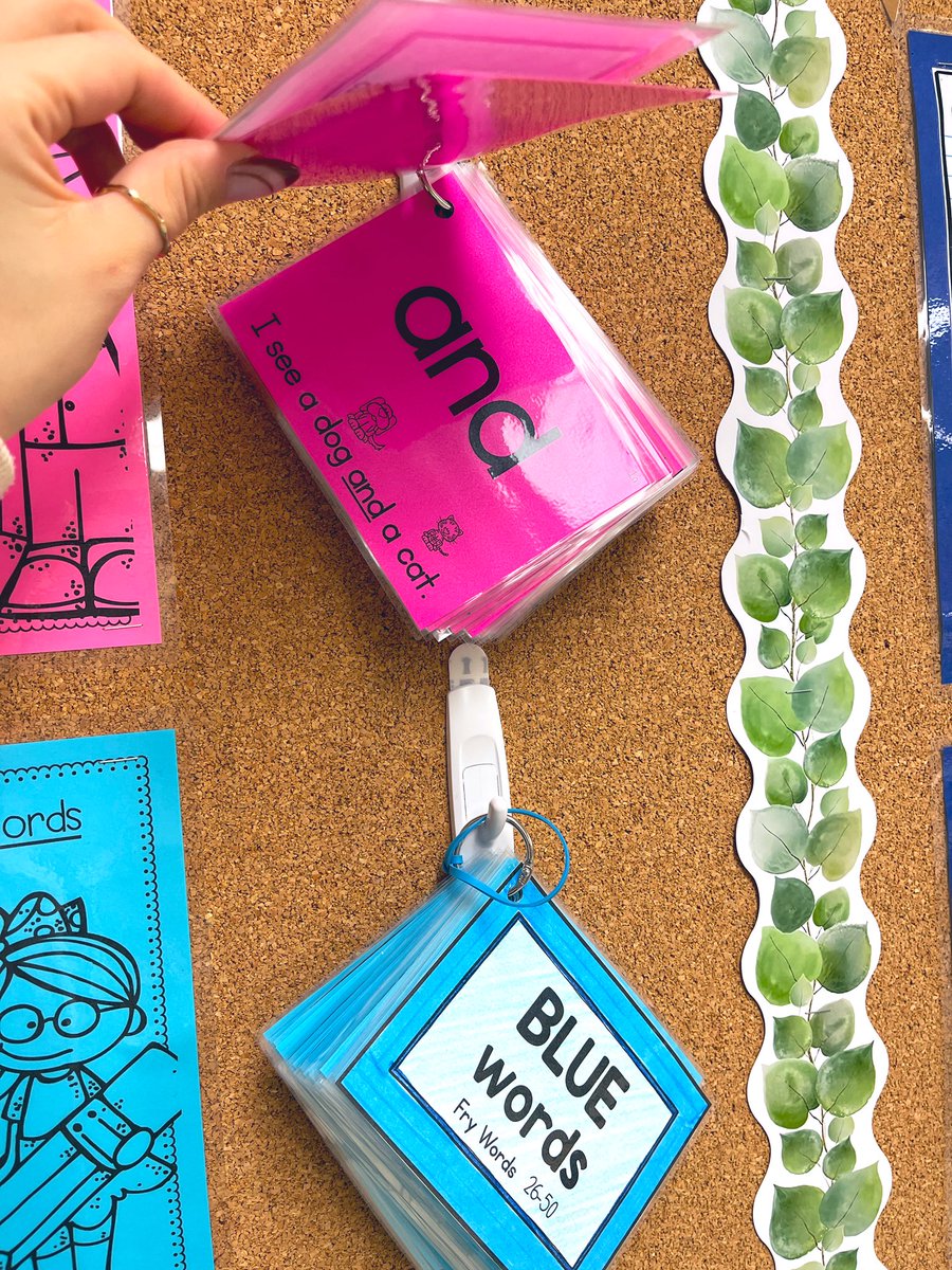 msferrinho's tweet photo. I said I was tired this week and would update the word wall next week. Reality: I ended up re-designing my word wall into an interactive flash card word wall with Fry’s first 100 💯 😂 https://t.co/xuVAlpXbTu