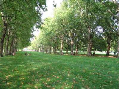 agenziaimpress tweet media