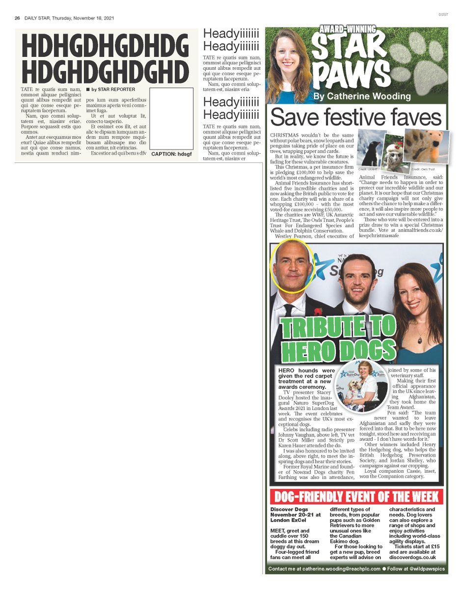 clambofficial's tweet photo. How you can help save your furry festive favourites, in today's column.

Plus, read about the new hound hero awards &amp; discover a dream doggy day out!

Only in today's @dailystar 🗞 https://t.co/oWk2fvWXCx