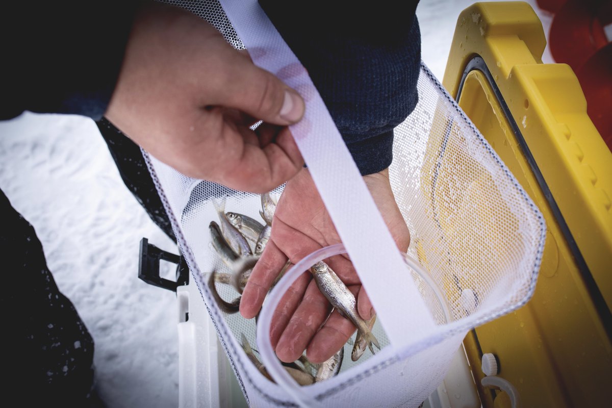 Ready to get hooked up!
#Frabill #FrabillFishing