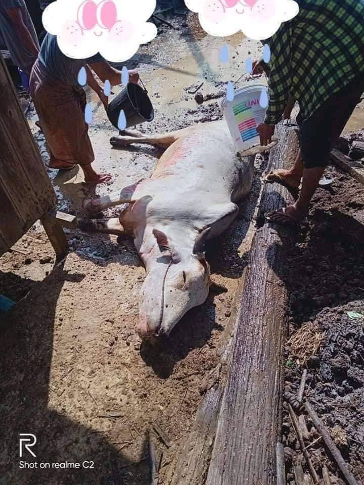 Bay_Lay_88's tweet photo. More than 5 civilian homes have been laid waste due to Junta Terrorists attack on Kan village in #Magway’s #Gangaw town this afternoon.The photos taken show the smoldering remains of homes &amp; damages.  LEGALIZATION OF NUG #Nov18Coup #WhatsHappeningInMyanmar https://t.co/GyWFTESVRF
