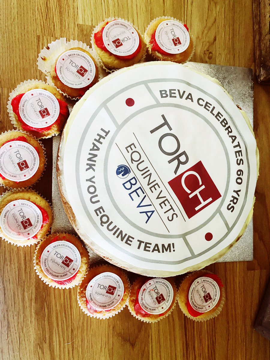 TorchEquineVets's tweet photo. To celebrate both the 60th anniversary of BEVA - The British Equine Veterinary Association & our incredible equine team we made them some cakes! We appreciate all that you do so THANKYOU!
#equinevets #vetslovecake #bevais60 #torchvets #devonvets https://t.co/3PW5pYuN7k