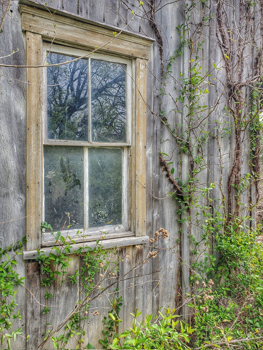 Vis_Symphonies's tweet photo. The side of an old gardening shed on an abandoned property nearby.
#marylandphotographer #abandonedmaryland #ruralmaryland #abandonedhouses #abandonedfarm #hagerstownmd #urbanexploration #urbandecay https://t.co/ytekKdN66m