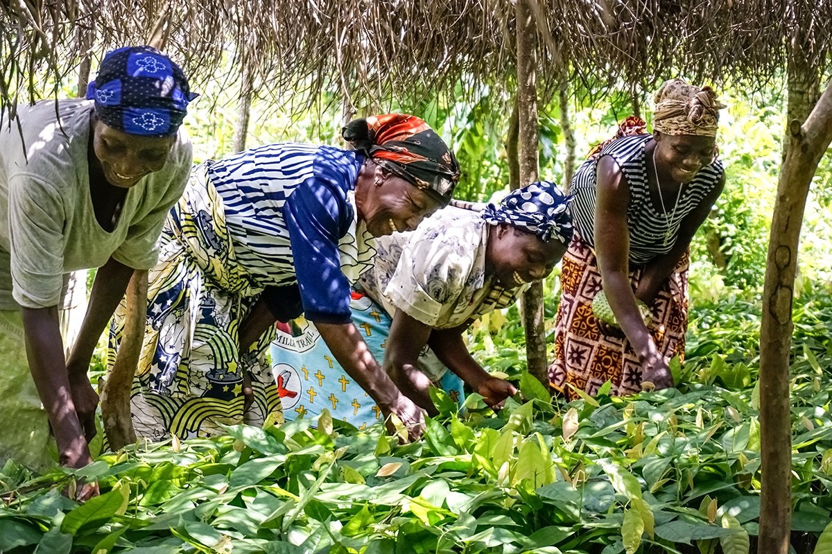 Connecting_biz's tweet photo. Côte d'Ivoire emits 0.3 tons of CO2 per person. The global average? 4.4T.

Countries least responsible for climate change are often the most affected.

We work with the private sector in 🇨🇮 to strengthen climate resilience: https://t.co/6vFnJZGeg7 #AfricanStatisticsDay #5yrsofCBi https://t.co/CCJbrJNr3t