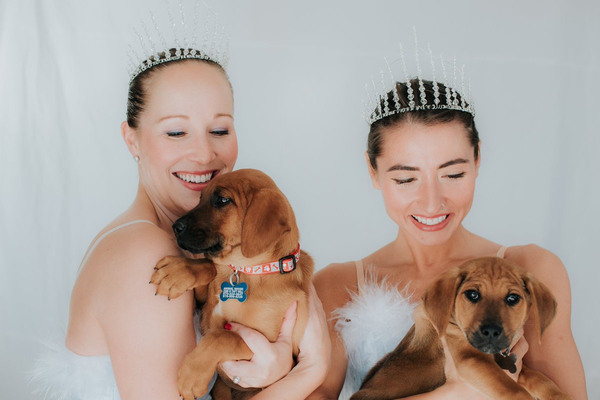 CanyonConcert's tweet photo. #TBT to our 2019 Muttcracker photo shoot. 

We are excited to be doing the 2021 Muttcracker shoot this weekend! Stay tuned for those photos next week :-D

#Muttcracker #TheNutcracker #CCBNutcracker #AnimalFriendsAlliance #AdoptableDogs #BallerinasAndDogs #ThrowBackThursday https://t.co/DQlBqUlSed
