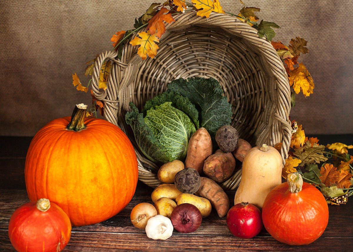 SpeedproCleEast's tweet photo. Happy Thanksgiving from the entire SpeedPro Network. This year we are thankful for all of our customers. Thank you for being a part of this journey. #GreatBigGrahphics - https://t.co/PTzg42tD67 https://t.co/kQiufnA8US