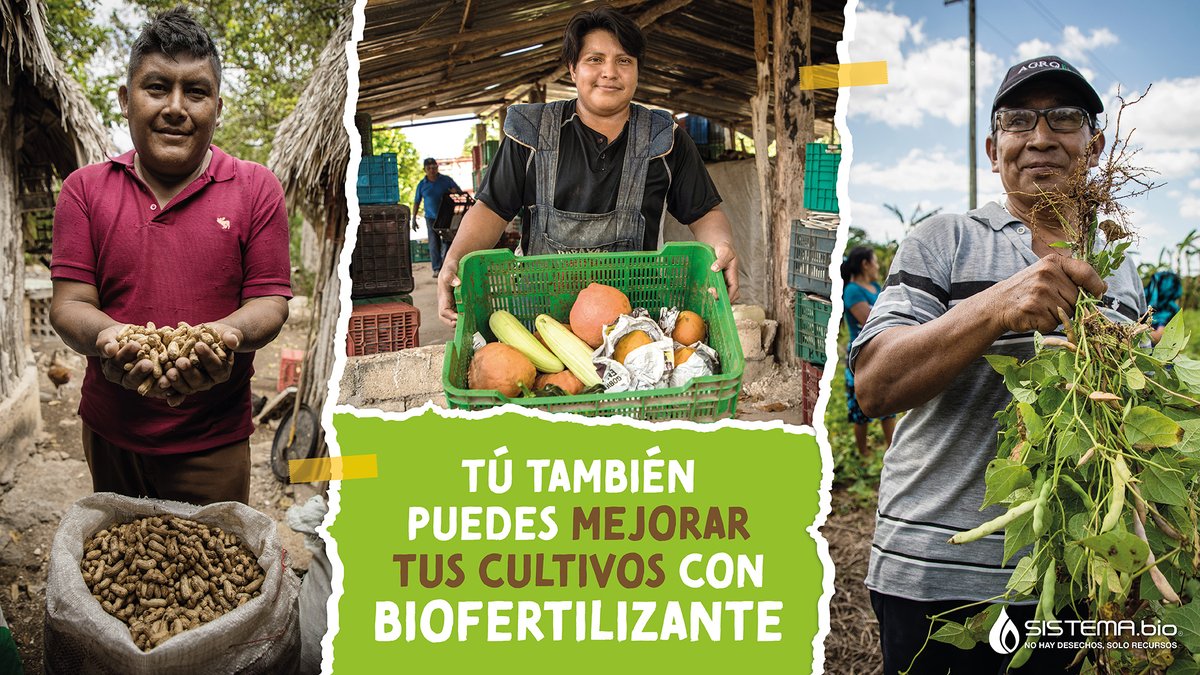 SistemaBiobolsa's tweet photo. Únete a miles de productores que han dejado atrás el uso de agroquímicos. Transforma los desechos de tu granja en beneficios para tu negocio ♻️🔥 https://t.co/3LbwpslmZX