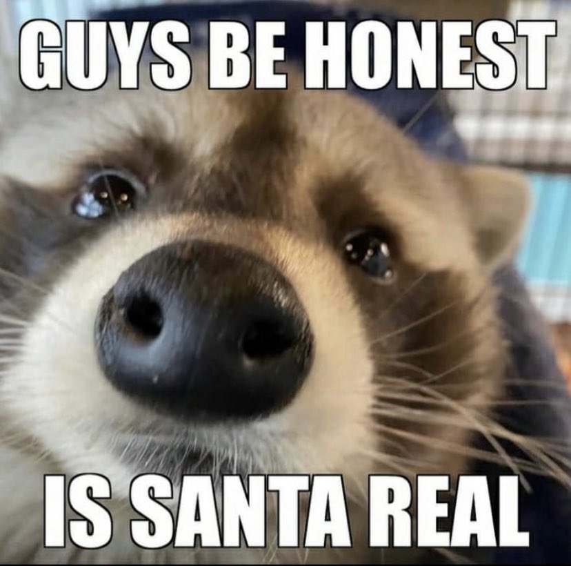 WholesomeMemes (@wholesomememe) on Twitter photo 