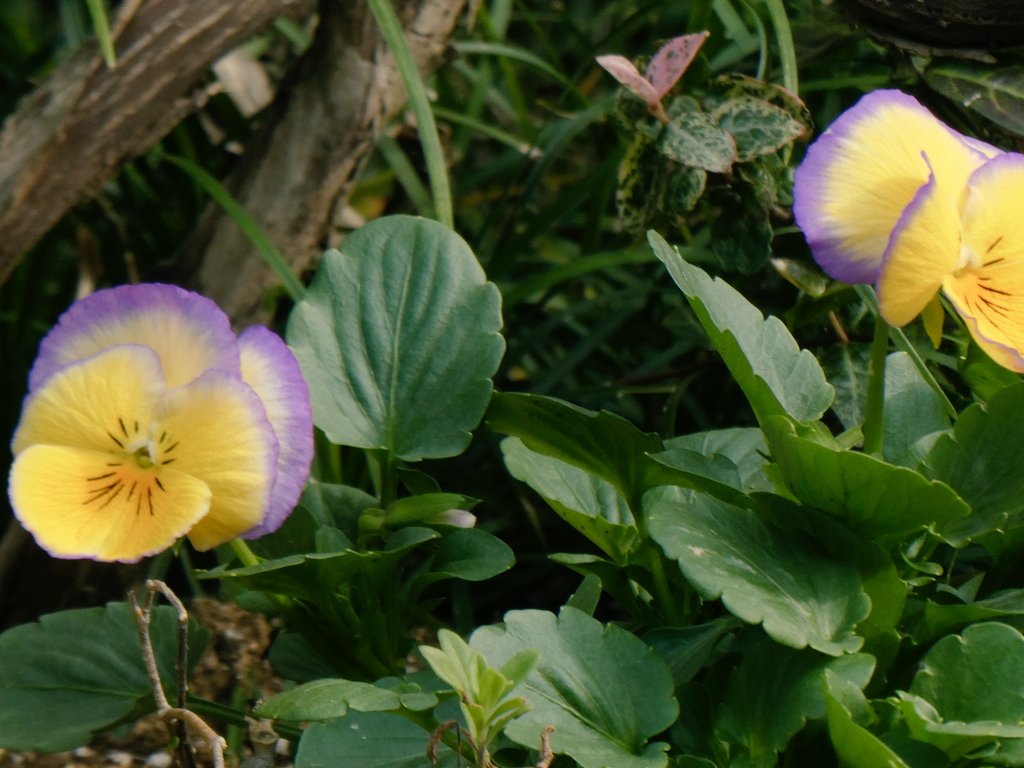 sgkniht's tweet photo. 皆様こんばんは。

本日、次々と私に襲い掛かって来た職場での悲惨な悲劇の数々…

それらの貴重な経験によって多くを学び、これからの人生においてとても大切な事に初めて気付かされました。

それは次の事だったのです… https://t.co/h4kNz3zdLk