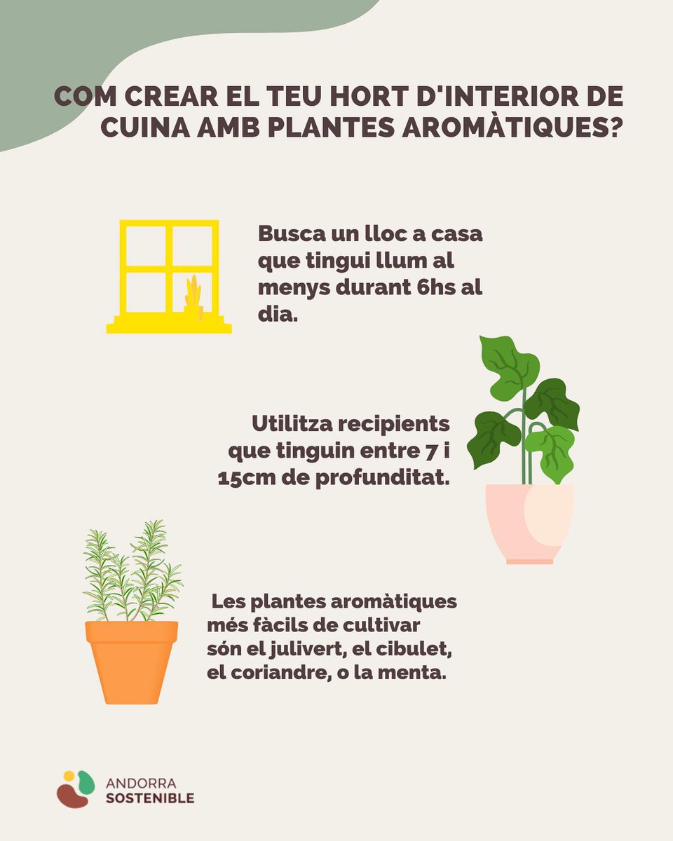 And_Sostenible's tweet photo. 🪴Has fet mai un hort interior de cuina amb plantes aromàtiques?
Avui t'expliquem 3 premises bàsiques per fer-ho.
#Andorrasostenible #sostenibilitat #Andorra #hort #plantesaromàtiques #plantes #julivert #cibulet #coriandre #menta https://t.co/flaSLbxOdY