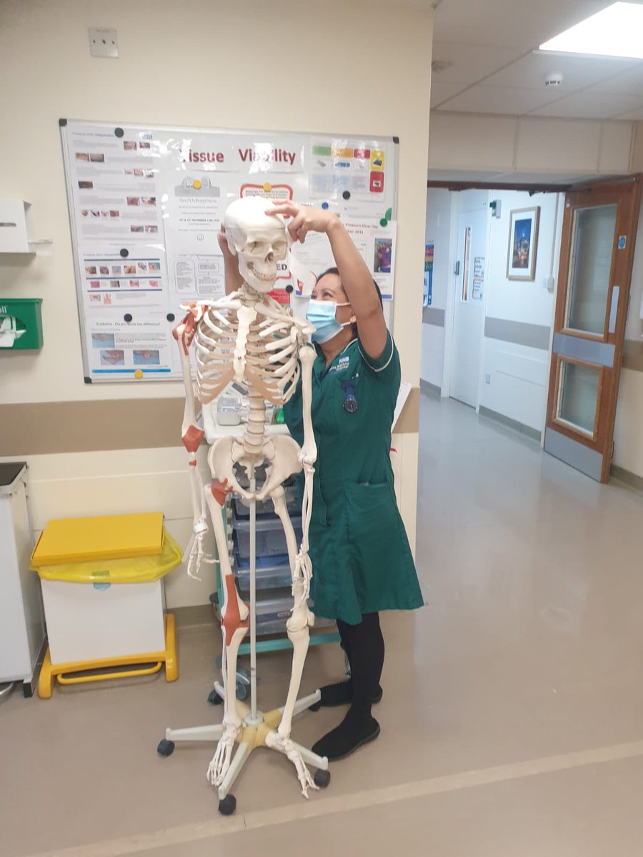 RPH ward 14 (@14rph) on Twitter photo Ward 14 supporting #stopthepressure with the red dot challenge! Getting Stan the Skeleton involved! <a href="/EmmaKevill125/">Kevill125</a> <a href="/HospitalTvn/">TVNLancashireTeachingHospital</a> <a href="/DNDTeam_Surgery/">Lisa Elliott</a> Ward 14 supporting #stopthepressure with the red dot challenge! Getting Stan the Skeleton involved! <a href="/EmmaKevill125/">Kevill125</a> <a href="/HospitalTvn/">TVNLancashireTeachingHospital</a> <a href="/DNDTeam_Surgery/">Lisa Elliott</a>