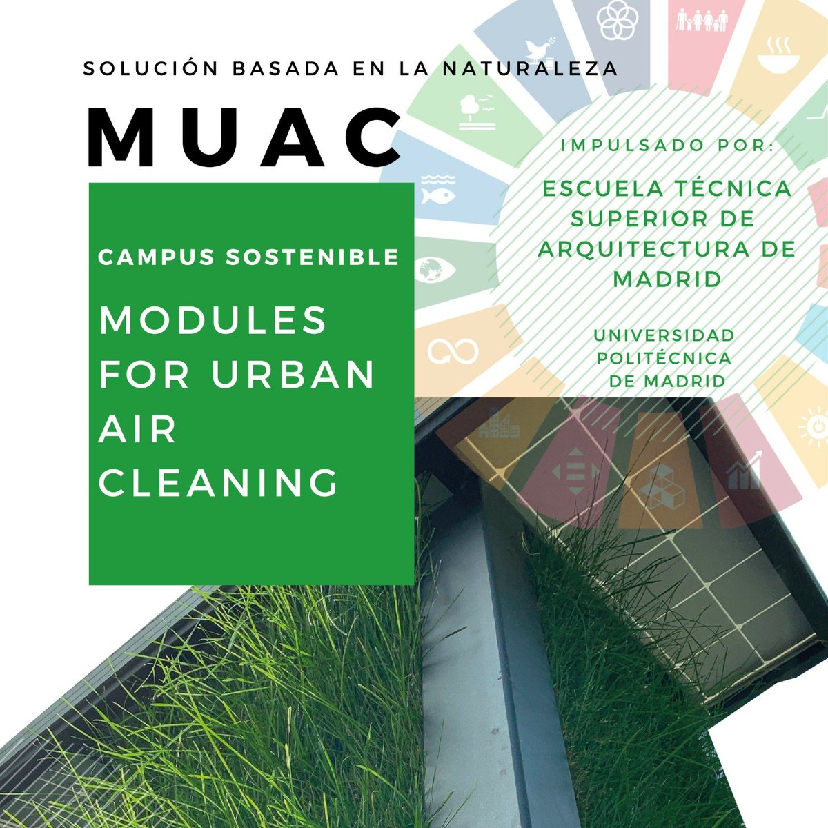 1/5.🎓¡Os presentamos nuestro segundo MUAC universitario, ubicado en los jardines de la <a href="/ETSAMadrid/">ETSAM</a>!
Poco a poco, conseguimos que las #SBN se vuelvan más presentes en <a href="/La_UPM/">Universidad Politécnica de Madrid</a> y aportamos nuestro granito de arena en la transición hacia un campus sostenible. Te contamos cómo👇🏾