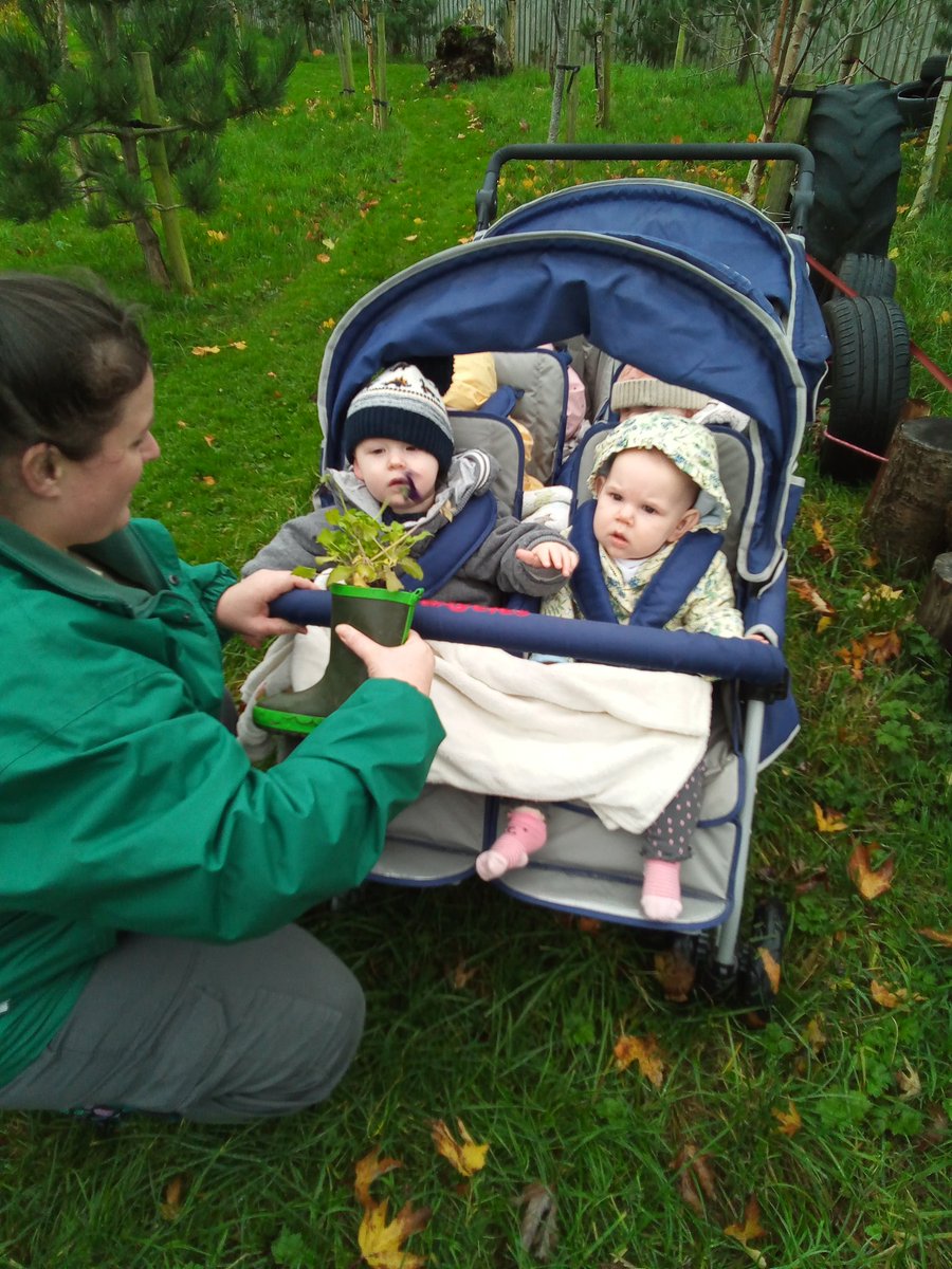 AshbridgeMaxy's tweet photo. We went for a lovely autumn walk with our Snowdrop children this morning.
We felt the plants and trees and collected some leaves #autumncolours #nature #forestschool #exploringtextures https://t.co/J9bm11hvmw