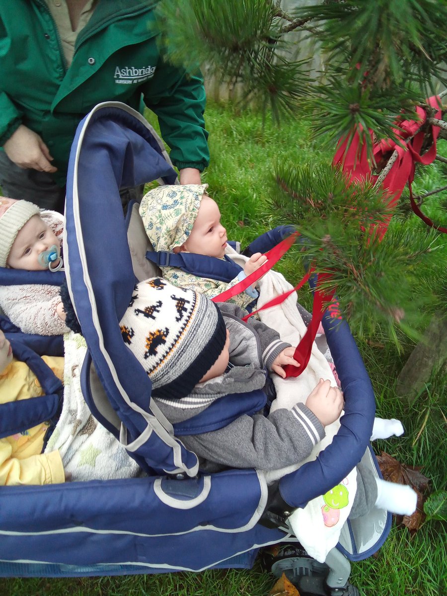 AshbridgeMaxy's tweet photo. We went for a lovely autumn walk with our Snowdrop children this morning.
We felt the plants and trees and collected some leaves #autumncolours #nature #forestschool #exploringtextures https://t.co/J9bm11hvmw