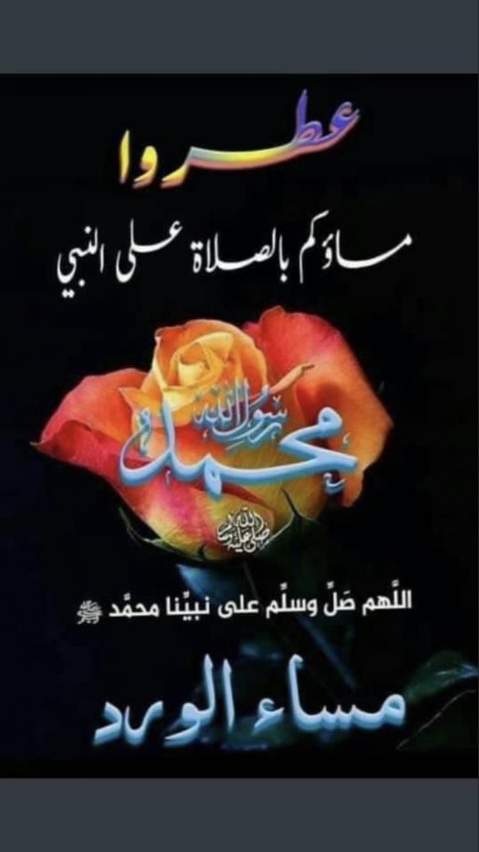 صالح محمد ال حمدان tweet media