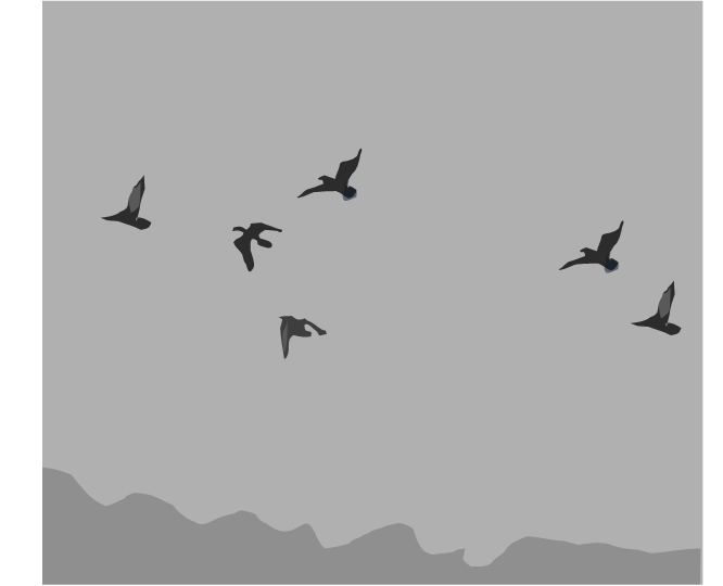 GillesHommit's tweet photo. #poésie #micropoésie #haiku
Dans le #brouillard
Des #pigeons me survolent
#Frottements d’ailes https://t.co/Sqv4hIIrBA