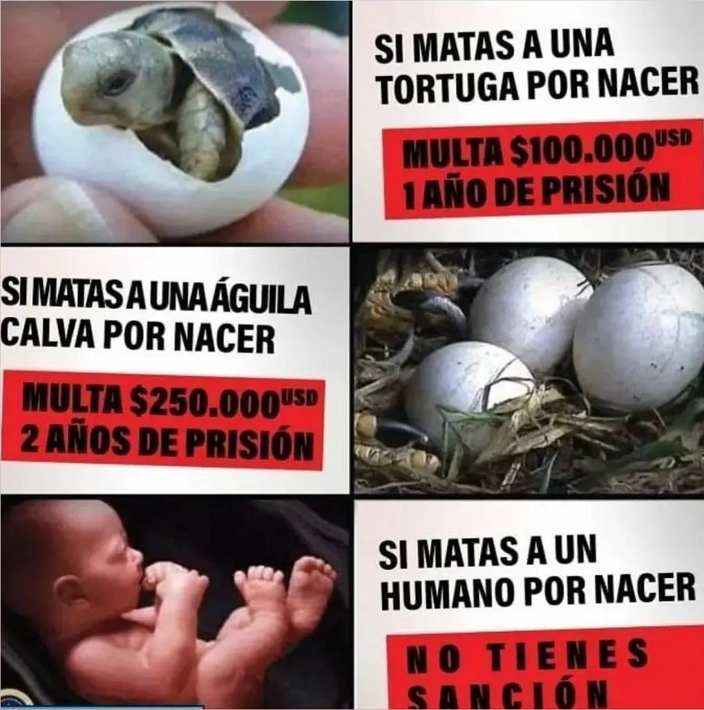 edgar___es's tweet photo. Todo muy coherente 🤔 https://t.co/A243tUyfCM