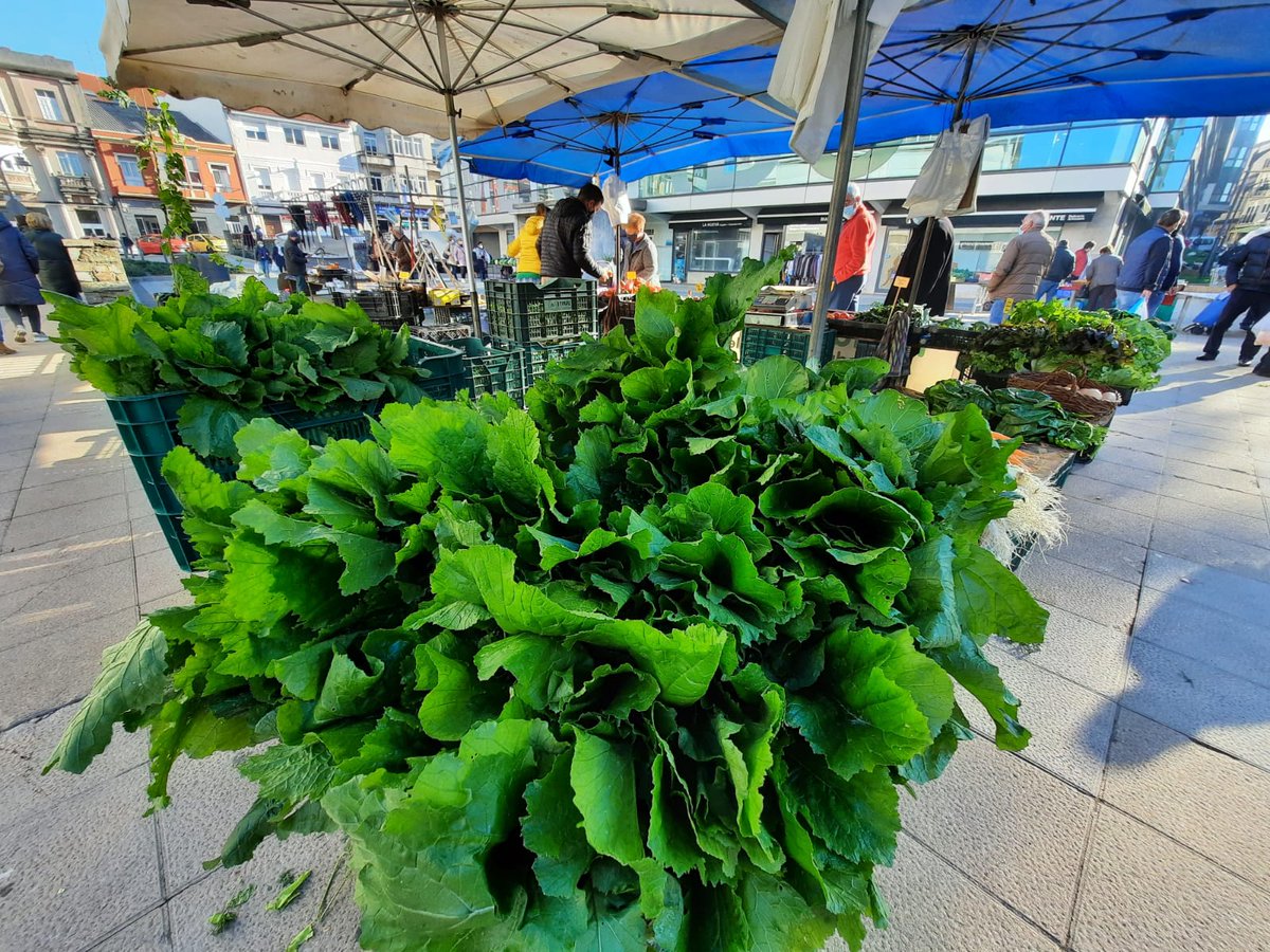 carballo_gal's tweet photo. Cores, sabores e sol de #outuno no #mecado de #Carballo ❤️
#feirasdeCarballo #paracomprarcoscincosentidos https://t.co/LpsUXpybKw