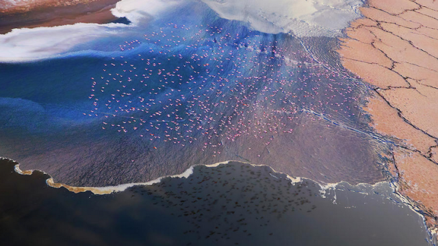 pixts's tweet photo. flamingos flying over tanzania’s lake natron https://t.co/bwdr6YxiVW