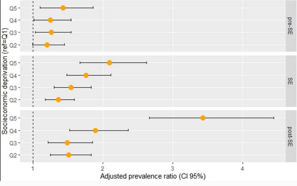 Ana Isabel Ribeiro tweet media