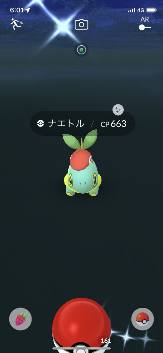 出勤時に色違い 旬の色違いー ポケモンgo ポケモンgo色違い ナエトル ナエトル色違い ツイレポ 出勤時に色違い 旬の色違いー ポケモンgo ポケモンgo色違い ナエトル ナエトル色違い ツイレポ