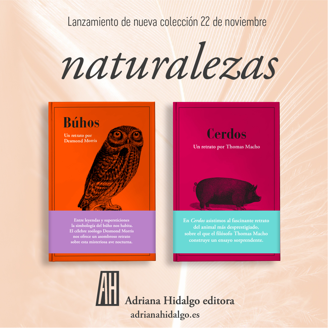 ¡Presentamos la nueva colección naturalezas!
Una aproximación sorprendente y polifacética para los amantes de la naturaleza y sus manifestaciones en la cultura. #AdrianaHidalgoEditora #novedades #animales #ecología #librosrecomendados #búhos #cerdos #DesmondMorris #ThomasMacho
