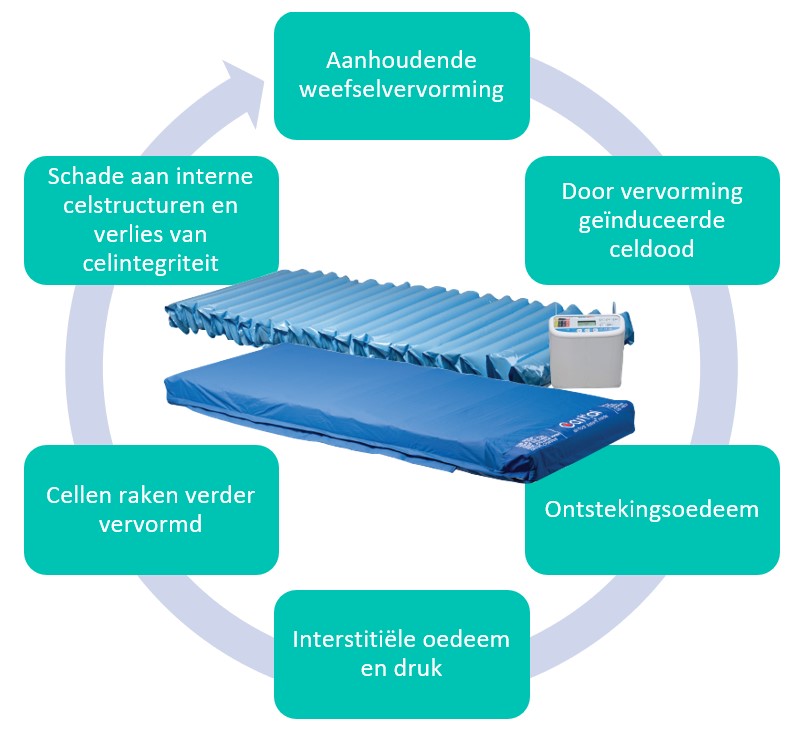 Vandaag is het internationale #STOPDECUBITUSDAG. Preventie van decubitus begint met diepgaande kennis over het ontstaan ervan. Als #decubitusspecialist delen we graag onze kennis.

Lees meer: us1.campaign-archive.com/?e=[UNIQID]&u=…