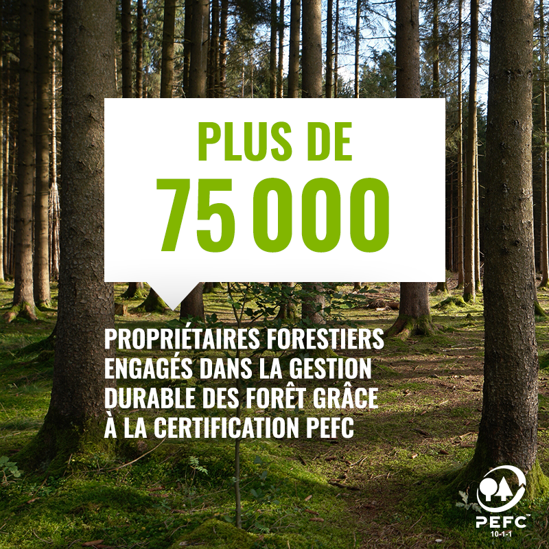 PEFCFrance's tweet image. [#LeSaviezVous] PEFC France rassemble plus de 75 000 propriétaires forestiers. La certification PEFC leur permet de contribuer à l'équilibre fragile mais indispensable entre les dimensions économiques, sociétales et environnementales des forêts ✅