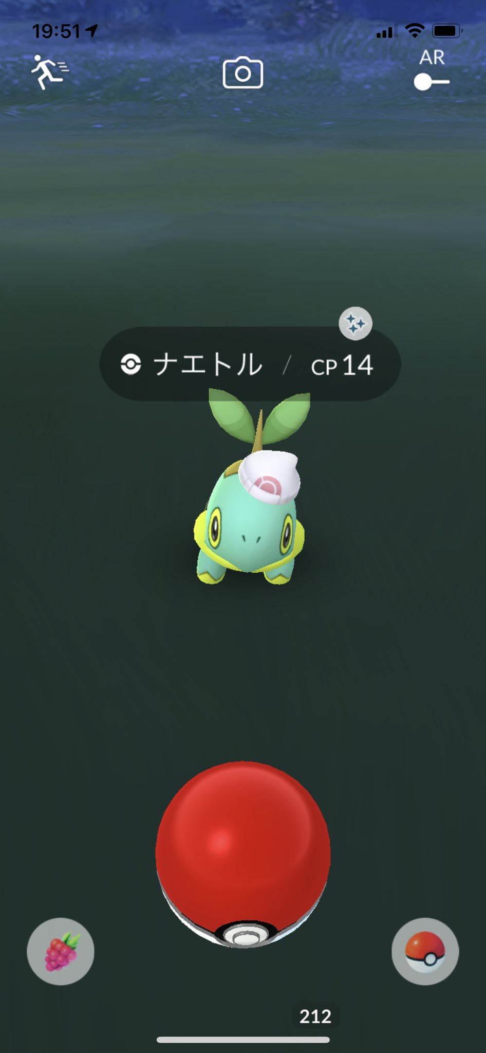 ゲンセンシホウセン 白帽子ナエトル色違いゲットというチョーーイス ポケモンgo 色違い T Co Uq7ybl3sqg Twitter