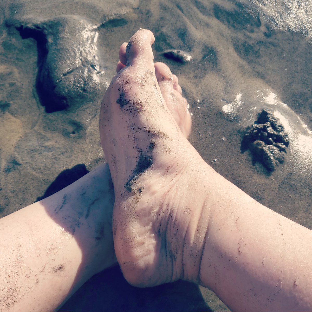 mcfootsie's tweet photo. Take me back! #Feet #feetworshi̇p #feetinsand #feetpics #buymyfeetpics #feetpicsforsale #bbwfeet #wetfeet #dirtyfeet #lickmysoles https://t.co/Ef7WlLEyRm