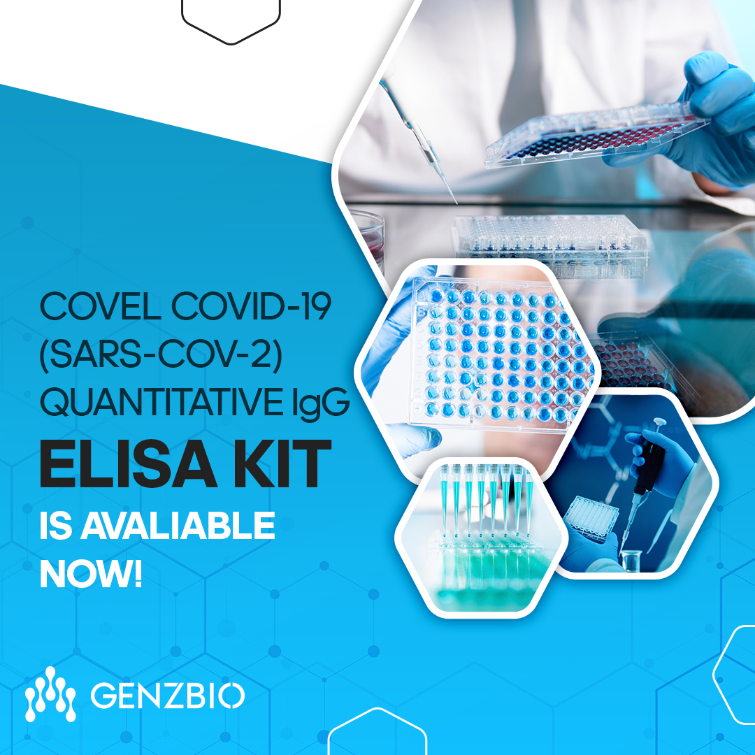 biogenztr's tweet photo. We are really excited to announce the launch of our most recent COVEL COVID-19 (SARS-CoV-2) QUANTITATIVE IgG ELISA Kit.

Contact us via info@genzbio.com or visit https://t.co/lc68D01ae7 to meet future of diagnostics.

#GenzBio #Biotechnology #ElisaKit https://t.co/CDbrliybZT